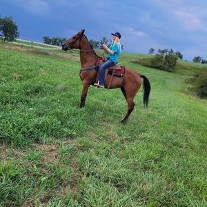 Meet your Posher, Chyann